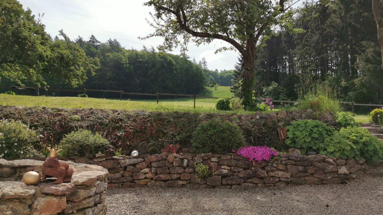 Ferienhaus Vulkaneifel Landhaus Loogh Kerpen  Esterno foto