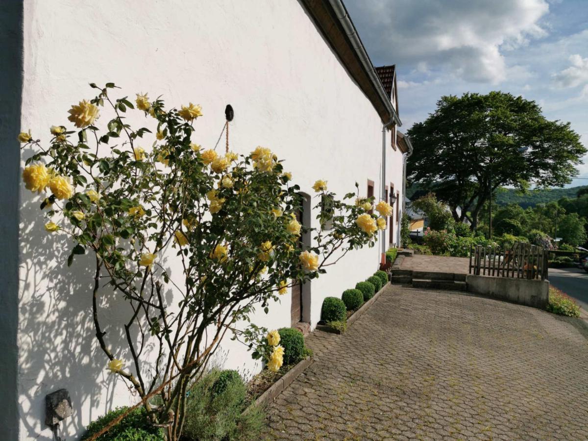 Ferienhaus Vulkaneifel Landhaus Loogh Kerpen  Esterno foto