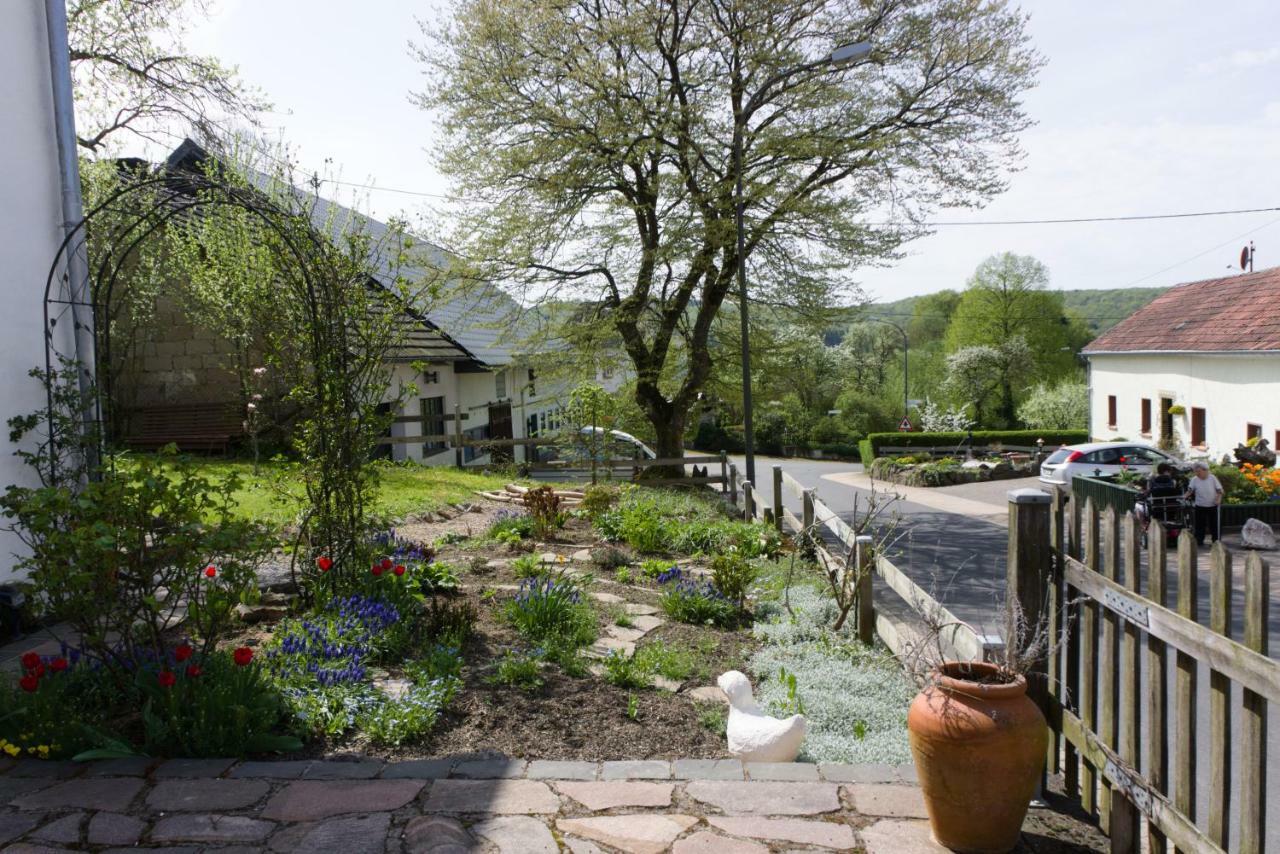 Ferienhaus Vulkaneifel Landhaus Loogh Kerpen  Esterno foto