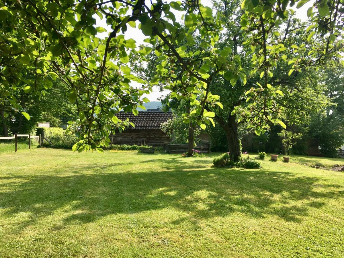 Ferienhaus Vulkaneifel Landhaus Loogh Kerpen  Esterno foto