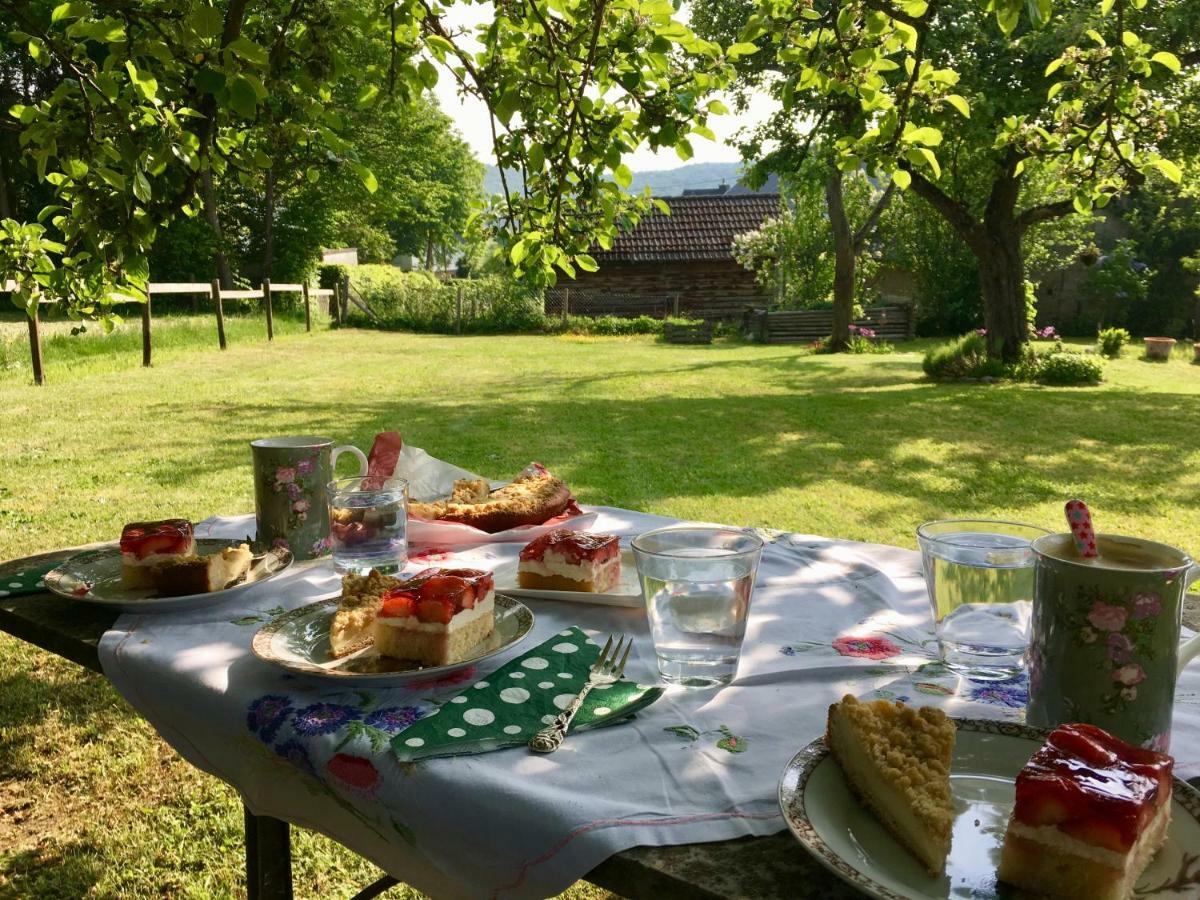 Ferienhaus Vulkaneifel Landhaus Loogh Kerpen  Esterno foto