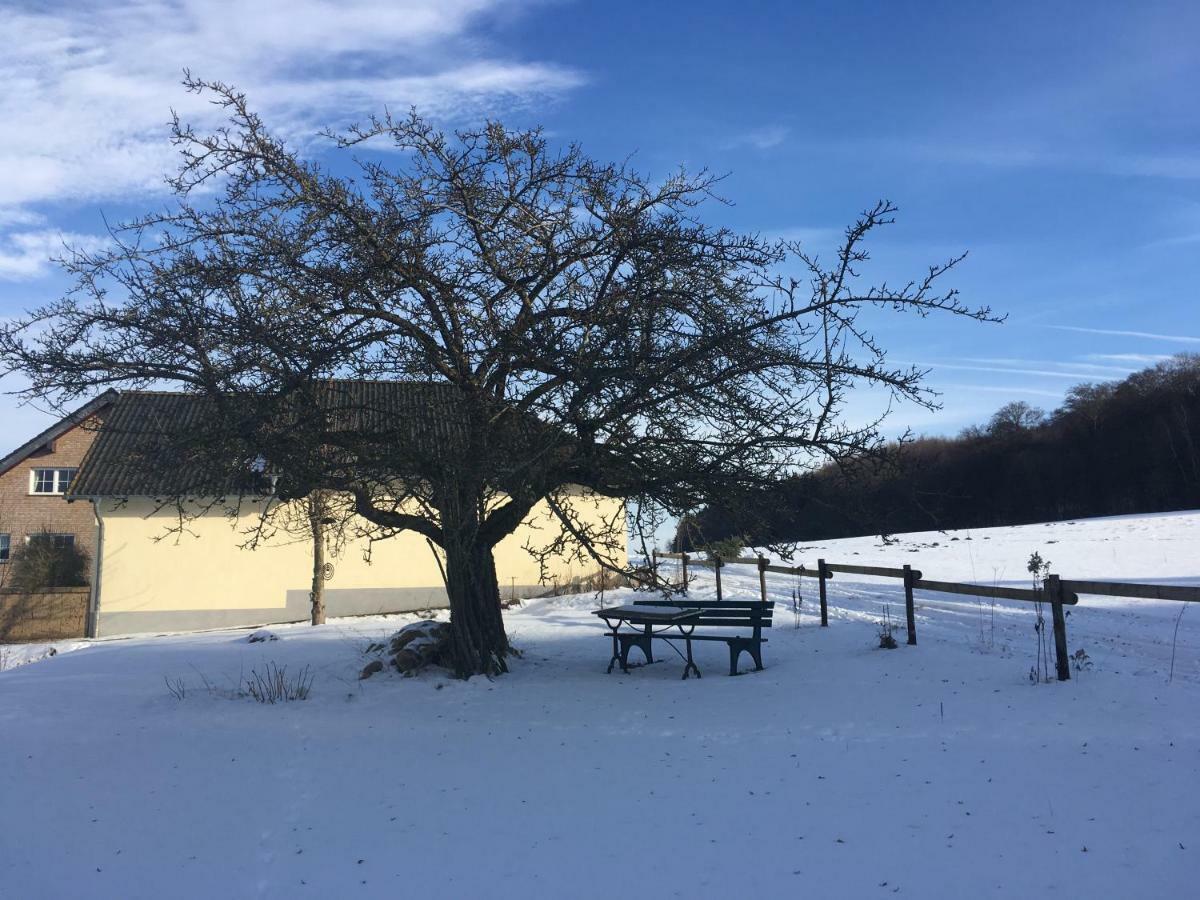 Ferienhaus Vulkaneifel Landhaus Loogh Kerpen  Esterno foto